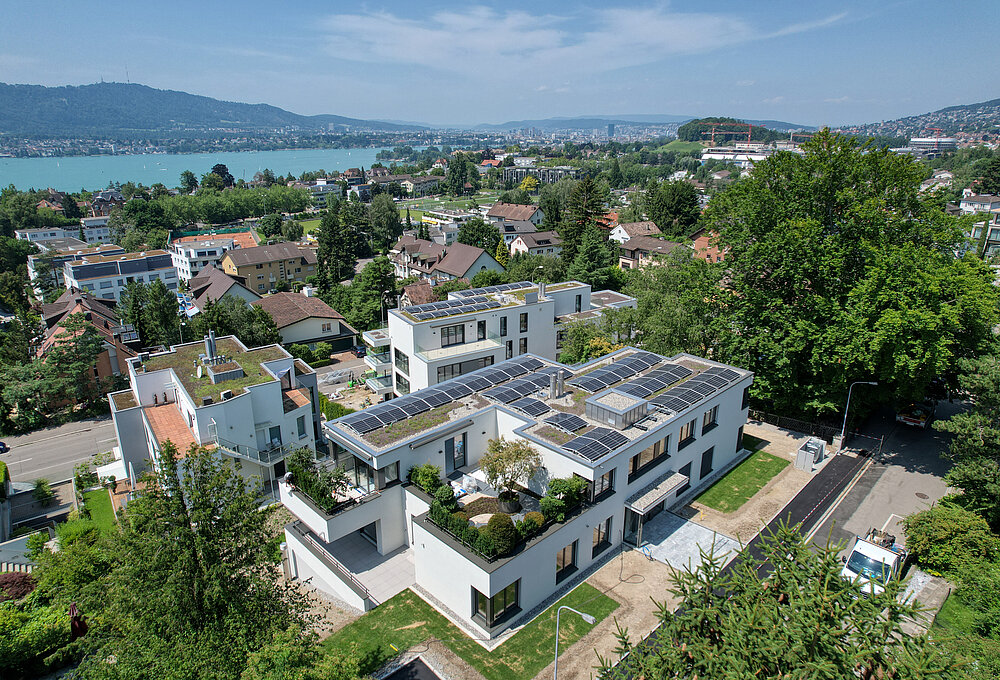 Wybüel, Zollikon